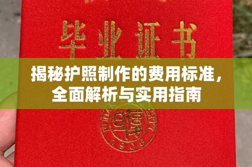 江汉揭秘护照制作的费用标准，全面解析与实用指南